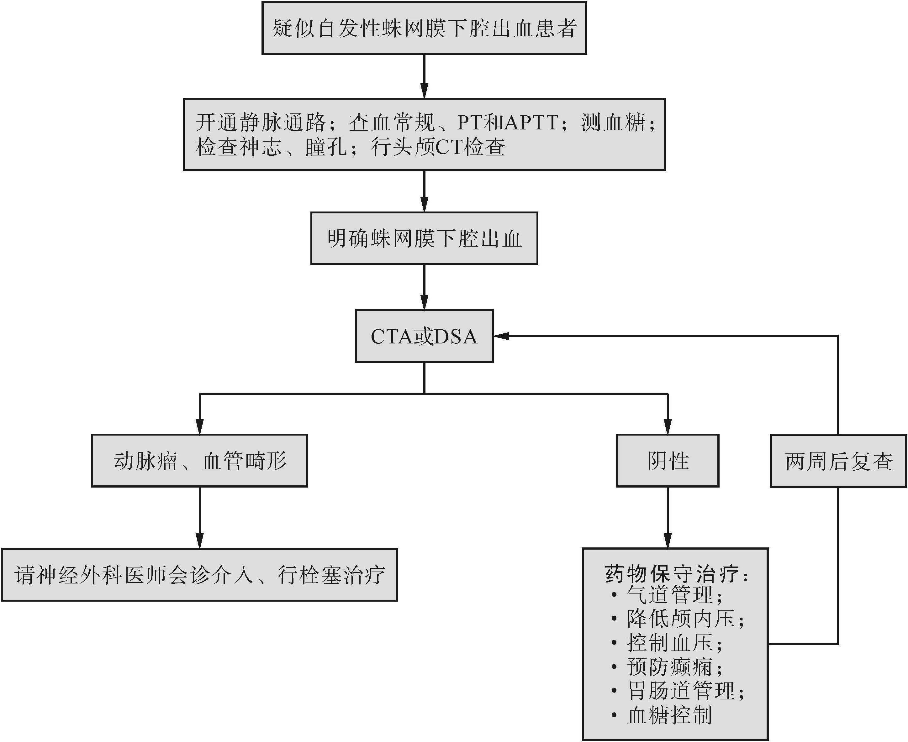 第三节 自发性蛛网膜下腔出血